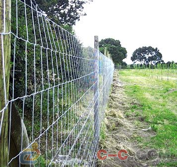 養(yǎng)殖場(chǎng)/養(yǎng)雞場(chǎng)護(hù)欄網(wǎng) 選擇、價(jià)格與專業(yè)廠家指南